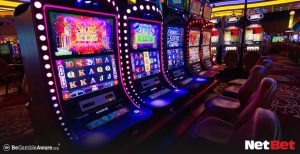 violapg - Login Bet Oficial